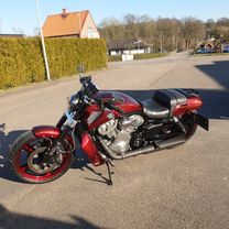 Harley Davidson Muscle gold scallops red candy marble 60
